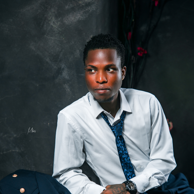 Stanley Owarieta - Software Engineer and Python Developer in Lagos, Nigeria